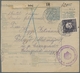 Bosnien Und Herzegowina (Österreich 1879/1918): 1894-1918, High-quality Collection Of Postage Due St - Bosnien-Herzegowina