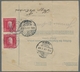 Bosnien Und Herzegowina (Österreich 1879/1918): 1894-1918, High-quality Collection Of Postage Due St - Bosnien-Herzegowina