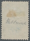 Delcampe - Russland - Semstwo (Zemstvo): 1866-1919, Comprehensive And Substantial Collection Of Landscape Issue - Zemstvos