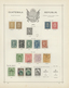Delcampe - Mittel- Und Südamerika: MITTELAMERIKA, Nur Bis Ca. 1890, Schöne Sammlungen Der Gebiete Costa Rica, D - Otros - América