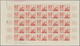 Algerien: 1950/1953, IMPERFORATE COLOUR PROOFS, MNH Assortment Of Five Complete Sheets (=123 Proofs) - Ungebraucht