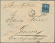 Argentinien: 1879-1900, Group Of 19 Interesting Covers And Postal Stationery Items To Europe Or Boli - Autres & Non Classés