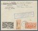 Delcampe - Reunion: 1917-75, Reichhaltige Sammlung Von 100 Briefen Und Karten Im Briefealbum, überwiegend Luftp - Otros & Sin Clasificación