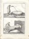 Delcampe - METIER XVIIIe: Verrier, Souffleur De Verre  ,verrerie ....50 Gravures Sur Cuivre De BENARD  1784 - Estampes & Gravures