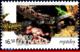 Ref. MX-2422 MEXICO 2005 ANIMALS, FAUNA, CONSERVATION, REPTILES,, SNAKES, ALLIGATOR, TURTLE, (6.50P), MNH 1V Sc# 2422 - Mexiko