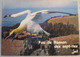 FOU DE BASSAN DES SEPT-ILES LA COTE DE GRANIT ROSE FRANCE POST VINTAGE POSTCARD PC TOURISM ADVERTISING - L'Argentiere La Besse