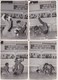 Saïgon - 33 Photographies Sur L'AIKIDO Ou JIU JITSU Au VIETNAM 1960 Judo Kung-fu Karaté Art Martiaux Boxe INDOCHINE Asie - Kampfsport