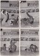 Saïgon - 33 Photographies Sur L'AIKIDO Ou JIU JITSU Au VIETNAM 1960 Judo Kung-fu Karaté Art Martiaux Boxe INDOCHINE Asie - Martial