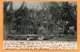 Wanganui New Zealand 1905 Postcard Mailed - New Zealand