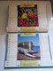 1995 ALMANACH DU FACTEUR Calendrier Des Postes HAUTE-MARNE 52 - Big : 1991-00