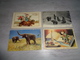 Delcampe - Beau Lot 60 Cartes Postales D' Animaux  Animal         Mooi Lot Van 60 Postkaarten Van Dieren  Dier  - 60 Scans - 5 - 99 Cartes