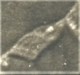 CARTE PHOTO ALLEMANDE IR 67 ZONE DE COMBAT - Guerre 1914-18