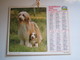 1988 ALMANACH DES P.T.T Calendrier Des Postes HAUTE-MARNE 52 - Petit Format : 1981-90