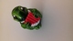 FIGURINE FERRERO TORTUE  1993 FLUTE DE PAN - Autres & Non Classés