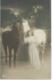 Cheval - Paard - Horse - Pfeerd - GG 2025/5 - 1913 - Chevaux
