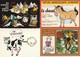 Lot De 40 Cartes Humoristiques - 5 - 99 Postales