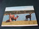 STORIA POSTALE  FRANCOBOLLO SUDAN WATERBUCK WASSERBUCK KOB SINGSING PIEGHE - Sudan