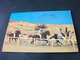 STORIA POSTALE  FRANCOBOLLO  BAHRAIN  RIFAA HORSE RACING CAVALLO CORSA - Bahrain