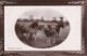 AR59 Animals - Meadow Friends - Horses, Oval Framed RPPC - Chevaux