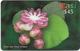 Brunei - DstCom - Easi - Dillenia Suffruticosa Flower, Prepaid 45$, Used - Brunei