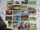 LOT  DE 90 CARTES POSTALES DE CHEVAUX - Chevaux