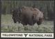 Yellowstone National Park - Wyoming Yellowstone  - NOT  Used - See The 2 Scans For Condition.(Originalscan ) - Yellowstone