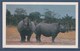 = Rhinocéros, 2, Safari Prisunic - Neushoorn