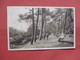 England > Dorset > Bournemouth   The Pine Walk    Has Stamp & Cancel   Ref    3554 - Bournemouth (ab 1972)