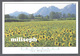 PROVENCE - Les Alpilles - 1996 - Cachet Saint-Rémy-de-Provence - Editeur: Société AJAX - Monaco -     (4744) - Saint-Remy-de-Provence