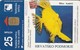 CROACIA. FAUNA MARINA. Antedon Mediterranea. TK 46/99. (019). - Otros & Sin Clasificación