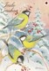 Postal Stationery - Birds - Great Tits In Winter Landscape - Finnish Cancer Patients - Suomi Finland - Postage Paid - Entiers Postaux