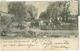 Potchefstroom 1905; River Street (with Cattle) - Circulated. - South Africa