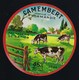 Etiquette Fromage Camembert Normandie 45%mg  Fromagerie De Ratier Eure 27 AA " Vaches" Variante En Vente - Cheese