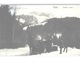 TATRY Hawrán I Muran Horse-drawn Sledge In Snow Landscape Postmark On KuK Stamp 1909 - Slovacchia