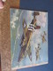 Delcampe - AVION , Illustrateur LOUIS PETIT ,16 Cartes D'avion Divers ,tous Scannées,aviations Et Militaria (( Lot 298 )) - Otros & Sin Clasificación