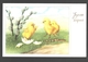 Fantaisie / Fantasy / Fantasie - Easter Chick / Paaskuiken / Poussin - Pâques