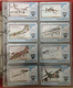 Delcampe - Aviation Smart ( With Chipset )phonecards From Turkey 47 Different - Avions