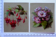 2 CHROMOS LITHOGRAPHIES. GAUFRÉES...BORDS DORES....FLEURS...FUCHSIAS ET MARGUERITES - Autres & Non Classés