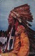 PC Spotted Horse - First Nations - Indianer - Artist Th. Schultz 1908 - 1913  (42987) - America