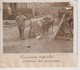 1912 CONCOURS AGRICOLE ARRIVÉE DES ANIMAUX  18*13CM Maurice-Louis BRANGER PARÍS (1874-1950) - Otros & Sin Clasificación