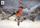 Postal Stationery - Bird - Bullfinch In Winter Landscape - WWF Panda Logo 2003 - Suomi Finland - Postage Paid - Entiers Postaux