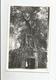 TA SOM ANGKOR CAMBODGE CARTE PHOTO AVEC RUINES ET FROMAGER - Cambodge