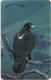 S. Africa - MTN - Birds - Black Eagle, 01.1998, 15R, Used - Afrique Du Sud