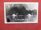 RPPC  Swans At Findley Lake NY >   Ref    3568 - Birds