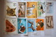 Collection Timbres Animaux, Chiens, Chats, Insectes, Felins Etc - Collections (en Albums)