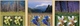 ROMANIA 2019  FLOWERS - THE MOUNTAINS’ FLOWERS -2 Sets With Illustrated Border MNH** - Other & Unclassified