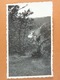 Photo D'amateur (11 Cm X 6,5 Cm ) La Semois 1935 Vue Du Rocher Du Hat - Lieux