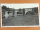 Photo D'amateur (11 Cm X 6,5 Cm ) Chiny 1935 Pont St-Nicolas - Lieux