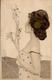 Kirchner, Raphael Frau Jugendstil I-II (kl. Abschürfung) Art Nouveau - Kirchner, Raphael