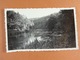 Photo D'amateur (11 Cm X 6,5 Cm ) 1935 Sentier Du T.C. Semois - Lieux